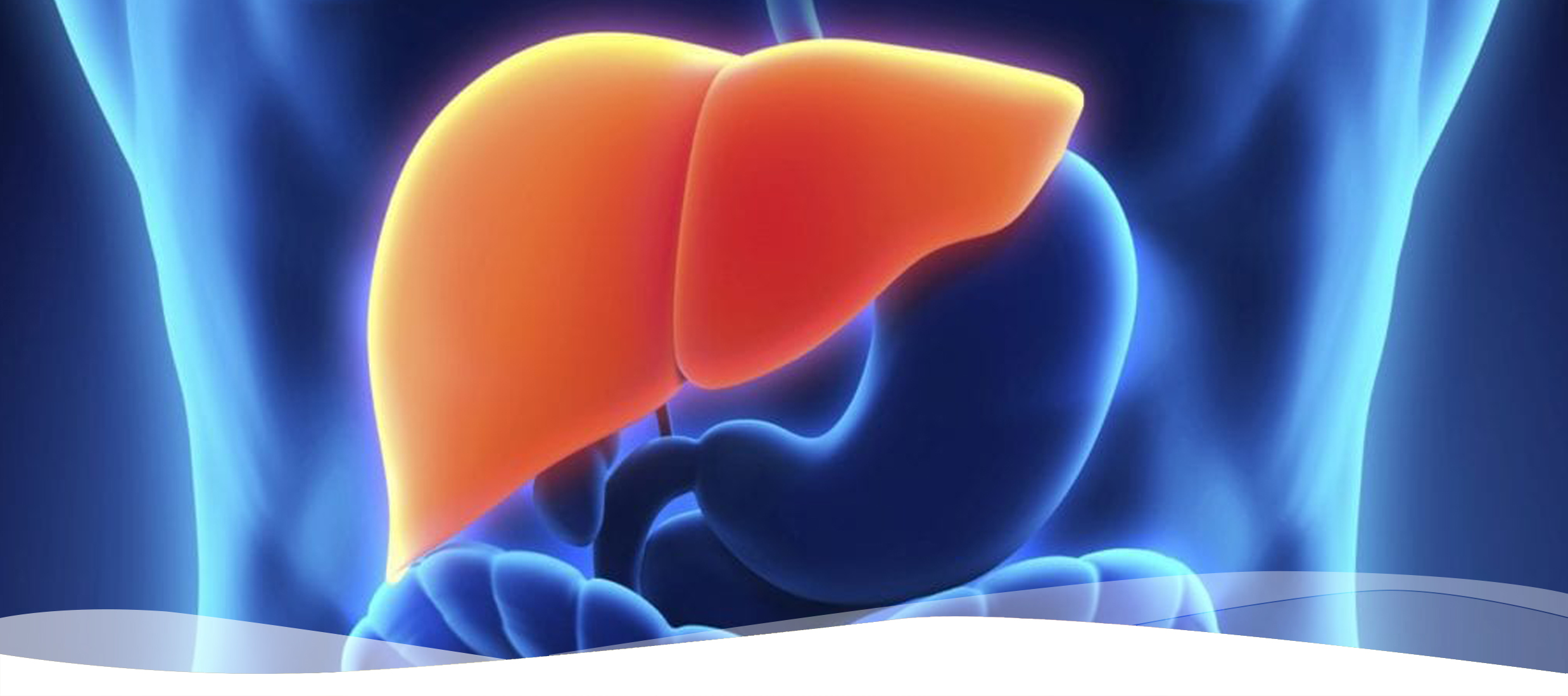 Hábitos alimenticios para desinflamar el hígado y prevenir enfermedades