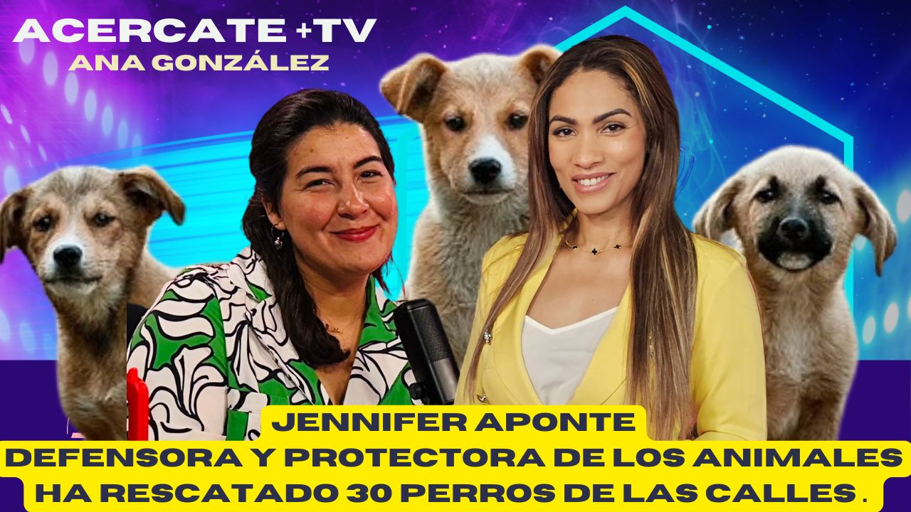 La Importancia de la Protección Animal en República Dominicana
