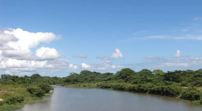Seaboard está comprometida con el saneamiento del río Ozama