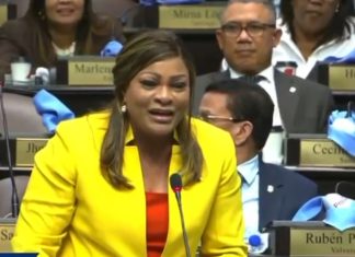 Diputada De los Santos: “Quieren joder a los hombres en el Código; aquí hay doble moral con las tres causales”