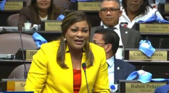 Diputada De los Santos: “Quieren joder a los hombres en el Código; aquí hay doble moral con las tres causales”