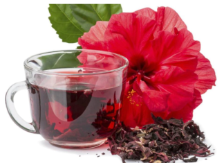 La Flor de Jamaica o Cayena: una joya nutricional poco aprovechada en República Dominicana