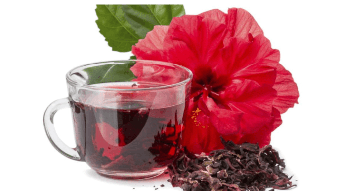 La Flor de Jamaica o Cayena: una joya nutricional poco aprovechada en República Dominicana