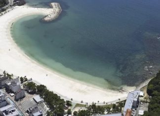Sismo de magnitud 8,8 causa tsunami en las costas de Rusia, Japón y Hawai