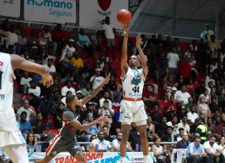 Titanes del Sur alcanzan la final con barrida ante los Leones