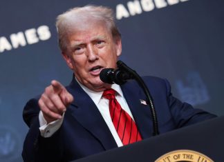 Trump asegura que comenzó los preparativos para posible reunión entre Putin y Zelenski