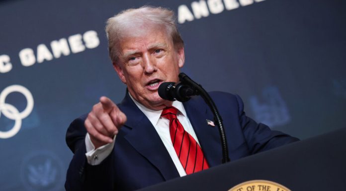 Trump asegura que comenzó los preparativos para posible reunión entre Putin y Zelenski