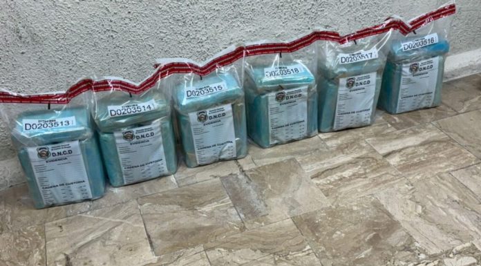 Miembros de la DNCD frustran envío de 30 paquetes de presunta cocaína a Alemania