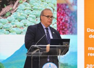 FAO afirma que RD reduce subalimentación del 8.7% en 2019 al 3.6% en 2025 y fortalece el poder adquisitivo de sus ciudadanos