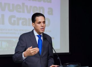 Fuerza del Pueblo exige declarar en emergencia el sector eléctrico y plantea reducción de pérdidas en las EDES