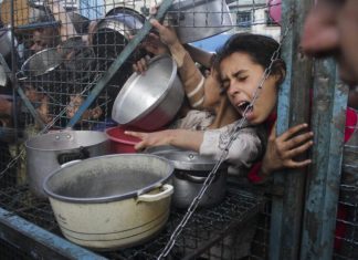 Gaza registra cuatro nuevos muertos por desnutrición, dos mujeres y dos hombres