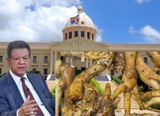 Leonel: política alimentaria del gobierno ha condenado al pueblo a comer “cocote, molleja, pata y asadura”