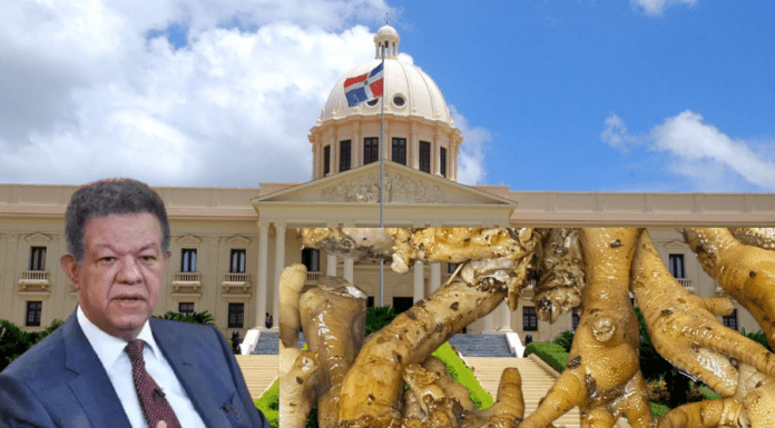 Leonel: política alimentaria del gobierno ha condenado al pueblo a comer “cocote, molleja, pata y asadura”