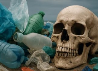 Los plásticos son una amenaza para la salud no reconocida lo suficiente, alertan expertos