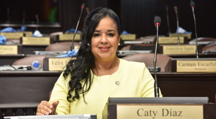 Diputada Caty Díaz mantiene un récord perfecto de asistencia en la Cámara de Diputados