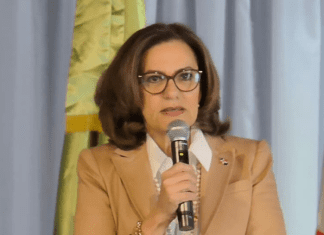 Partido Verde Dominicano escoge a Angelita Peña como su nueva presidenta