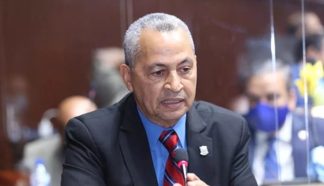 Diputado Pedro Martínez denuncia se “está sembrando cemento” en zonas de bosques y ríos