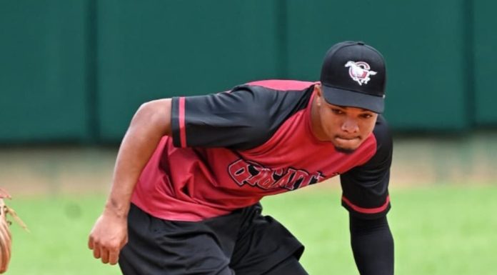 Gigantes del Cibao integran a José Devers y Gleyvin Pineda a los entrenamientos