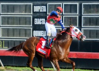 Grace From Above gana Clásico Felo Flores en el Quinto
