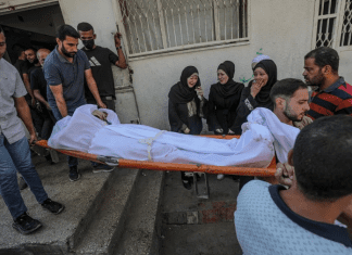 Reportaje- Se disparan los hechos de sicariato, legisladores demandan presentar el flagelo