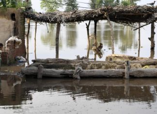 Casi 900 muertos por lluvias mientras la emergencia se agrava en el este de Pakistán