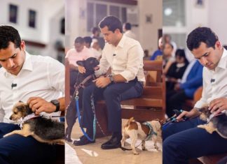 Omar Fernández impulsa reforma para endurecer sanciones contra el maltrato animal