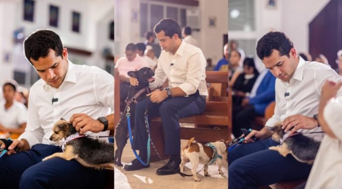 Omar Fernández impulsa reforma para endurecer sanciones contra el maltrato animal