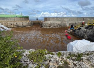 Sargazos sacan de servicio la planta AES Dominicana; aumentarán los apagones