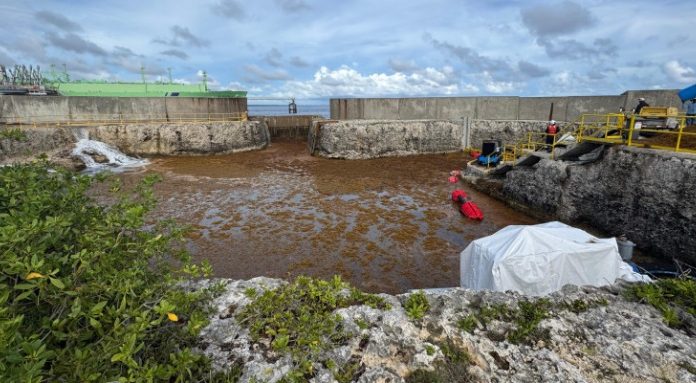 Sargazos sacan de servicio la planta AES Dominicana; aumentarán los apagones