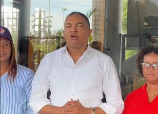 Vicepresidente del PLD advierte Procuradora General no debe autodescalificarse en investigaciones a PN