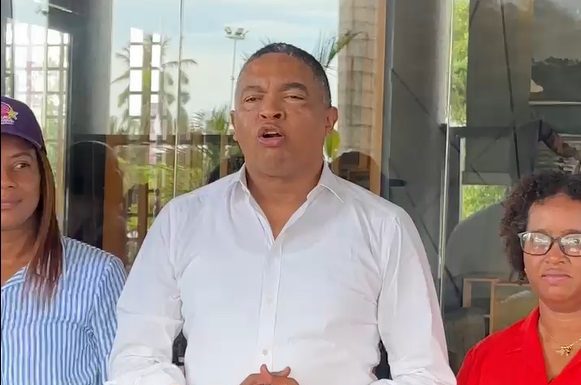 Vicepresidente del PLD advierte Procuradora General no debe autodescalificarse en investigaciones a PN