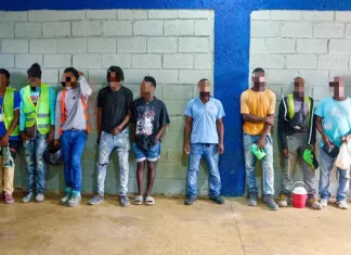 Migración reporta la detención de 1,332 haitianos ilegales