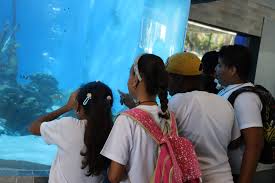 Cámara de Cuentas revela irregularidades por más de RD$30 millones en el Acuario Nacional (2012-2015)