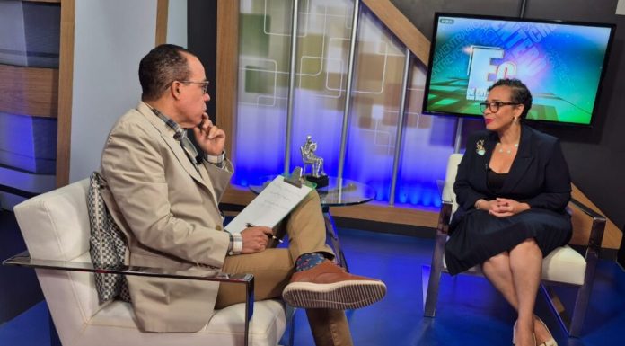 Psiquiatra Alexandra Hichez: “RD está en cuidados intensivos en salud mental; aquí se invierte 0.6 % del presupuesto”