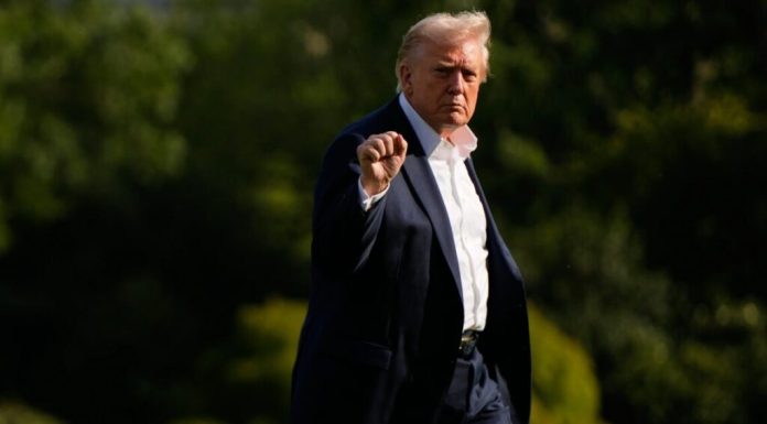 Corte de apelaciones bloquea intento del gobierno de Trump de eliminar ciudadanía por nacimiento