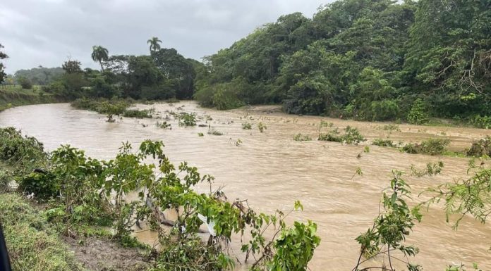 Agricultura pone en vigencia Plan de Contingencia agropecuario ante posibles efectos de Melissa