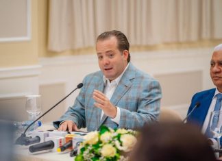 Ministro Paliza presenta al Senado estrategia Meta RD 2036
