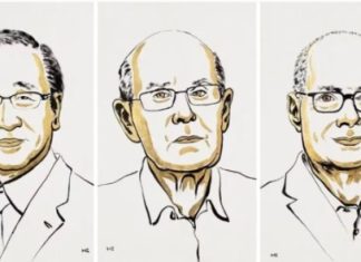 Nobel de Química es para tres científicos por el desarrollo de estructuras metal-orgánicas