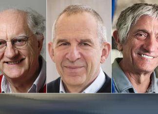 Nobel de Física 2025 a hallazgo relevante para tecnología digital