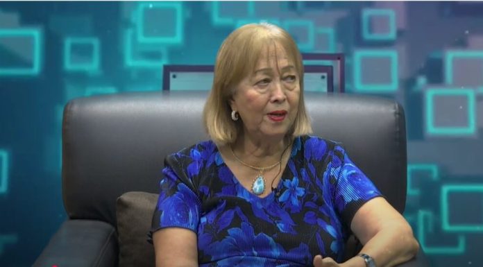 Rosa NG denuncia incertidumbre en comunidad china por cierre masivo de negocios en República Dominicana