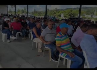 Productores arroceros del Nordeste piden al Gobierno medidas urgentes para evitar el colapso del sector