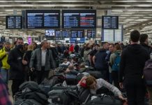 Estalla caos aéreo en Estados Unidos, con más de 700 vuelos cancelados por cierre del gobierno federal
