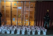 DNCD incauta 200 paquetes de cocaína en el puerto de Caucedo