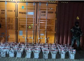 DNCD incauta 200 paquetes de cocaína en el puerto de Caucedo
