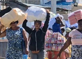 Haití prohíbe entrada de productos de poliestireno desde República Dominicana