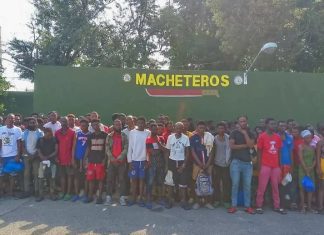 En operativos realizados en la zona noroeste, Ejército apresa 153 haitianos indocumentados