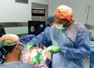 El cerebro pasa por 5 fases en la vida, que cambian a los 9, 32, 66 y 83 años