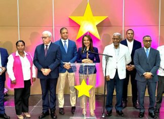 Crecimiento económico insuficiente; PLD denuncia desplome de la economía golpea a MiPymes; propone soluciones