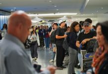 Miles de pasajeros varados en Estados Unidos tras cientos de cancelaciones de vuelos por el cierre del gobierno federal