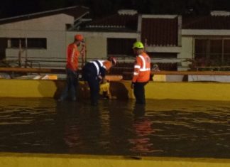 Defensa Civil mantiene monitoreo en zonas vulnerables de Santiago por lluvias